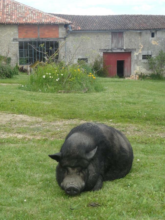 Eco Logis De Chantegrolle Champagne-Mouton Dış mekan fotoğraf